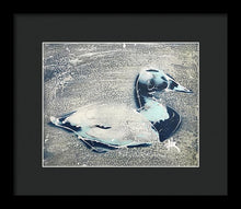 Load image into Gallery viewer, Chesapeake Decoy VIII - Framed Print