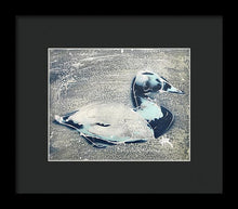 Load image into Gallery viewer, Chesapeake Decoy VIII - Framed Print