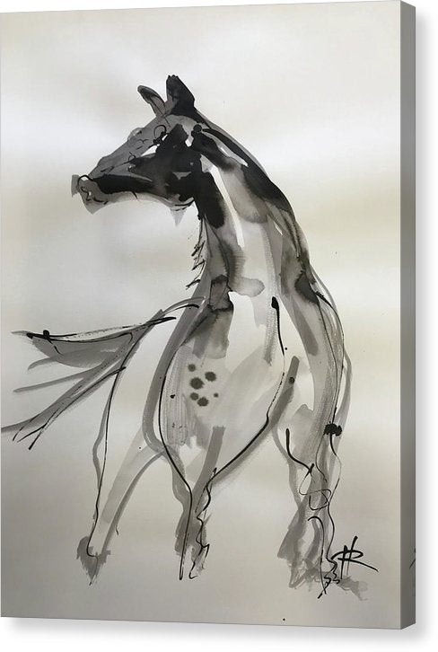 Horsepower - Canvas Print