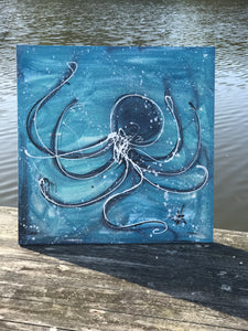 Octopus