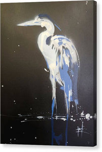 Midnight Blue Heron II - Canvas Print