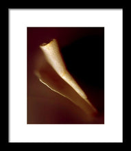 Load image into Gallery viewer, Sea Fragment IV - Framed Print by Ryan Hopkins