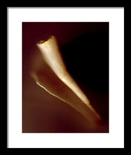 Load image into Gallery viewer, Sea Fragment IV - Framed Print by Ryan Hopkins