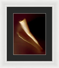 Load image into Gallery viewer, Sea Fragment IV - Framed Print by Ryan Hopkins