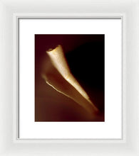 Load image into Gallery viewer, Sea Fragment IV - Framed Print by Ryan Hopkins