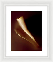 Load image into Gallery viewer, Sea Fragment IV - Framed Print by Ryan Hopkins