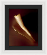 Load image into Gallery viewer, Sea Fragment IV - Framed Print by Ryan Hopkins