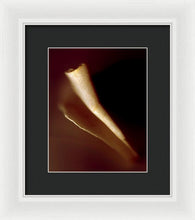 Load image into Gallery viewer, Sea Fragment IV - Framed Print by Ryan Hopkins