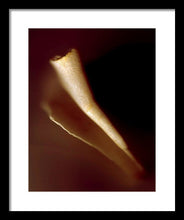 Load image into Gallery viewer, Sea Fragment IV - Framed Print by Ryan Hopkins