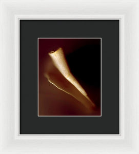 Sea Fragment IV - Framed Print by Ryan Hopkins