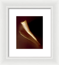 Load image into Gallery viewer, Sea Fragment IV - Framed Print by Ryan Hopkins