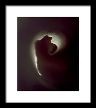 Load image into Gallery viewer, Sea Fragment IX - Framed Print by Ryan Hopkins