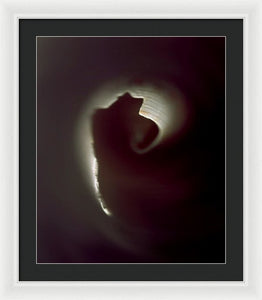 Sea Fragment IX - Framed Print by Ryan Hopkins