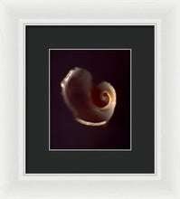 Load image into Gallery viewer, Sea Fragment V - Framed Print by Ryan Hopkins