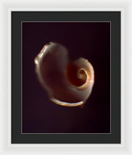 Load image into Gallery viewer, Sea Fragment V - Framed Print by Ryan Hopkins