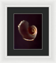 Load image into Gallery viewer, Sea Fragment V - Framed Print by Ryan Hopkins