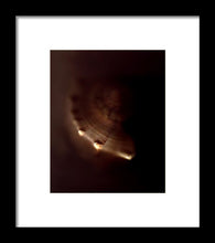 Load image into Gallery viewer, Sea Fragment VI - Framed Print by Ryan Hopkins