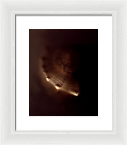 Sea Fragment VI - Framed Print by Ryan Hopkins