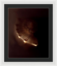 Load image into Gallery viewer, Sea Fragment VI - Framed Print by Ryan Hopkins