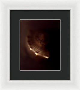 Sea Fragment VI - Framed Print by Ryan Hopkins