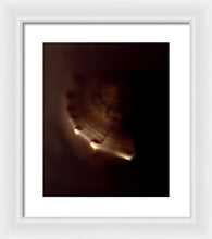 Load image into Gallery viewer, Sea Fragment VI - Framed Print by Ryan Hopkins