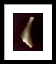 Load image into Gallery viewer, Sea Fragment VII - Framed Print by Ryan Hopkins