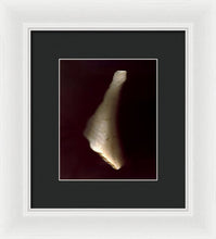 Load image into Gallery viewer, Sea Fragment VII - Framed Print by Ryan Hopkins