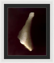 Load image into Gallery viewer, Sea Fragment VII - Framed Print by Ryan Hopkins