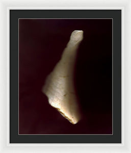 Sea Fragment VII - Framed Print by Ryan Hopkins