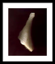 Load image into Gallery viewer, Sea Fragment VII - Framed Print by Ryan Hopkins