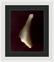 Load image into Gallery viewer, Sea Fragment VII - Framed Print by Ryan Hopkins