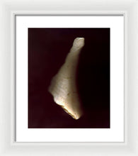 Load image into Gallery viewer, Sea Fragment VII - Framed Print by Ryan Hopkins