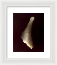 Load image into Gallery viewer, Sea Fragment VII - Framed Print by Ryan Hopkins