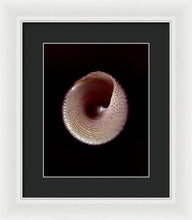 Load image into Gallery viewer, Sea Fragment X - Framed Print by Ryan Hopkins