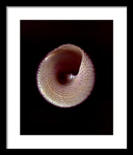 Load image into Gallery viewer, Sea Fragment X - Framed Print by Ryan Hopkins