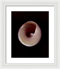 Load image into Gallery viewer, Sea Fragment X - Framed Print by Ryan Hopkins