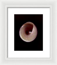 Load image into Gallery viewer, Sea Fragment X - Framed Print by Ryan Hopkins