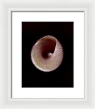 Load image into Gallery viewer, Sea Fragment X - Framed Print by Ryan Hopkins