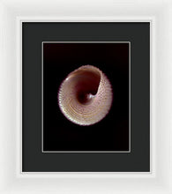 Load image into Gallery viewer, Sea Fragment X - Framed Print by Ryan Hopkins