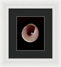 Load image into Gallery viewer, Sea Fragment X - Framed Print by Ryan Hopkins