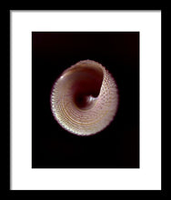 Load image into Gallery viewer, Sea Fragment X - Framed Print by Ryan Hopkins