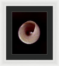 Load image into Gallery viewer, Sea Fragment X - Framed Print by Ryan Hopkins