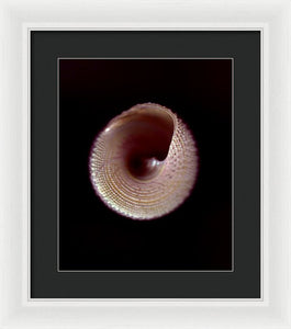 Sea Fragment X - Framed Print by Ryan Hopkins