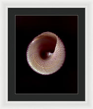 Load image into Gallery viewer, Sea Fragment X - Framed Print by Ryan Hopkins