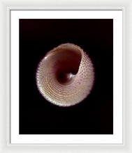 Load image into Gallery viewer, Sea Fragment X - Framed Print by Ryan Hopkins