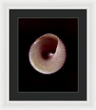 Load image into Gallery viewer, Sea Fragment X - Framed Print by Ryan Hopkins