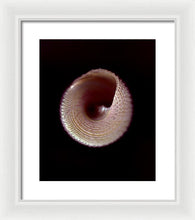 Load image into Gallery viewer, Sea Fragment X - Framed Print by Ryan Hopkins