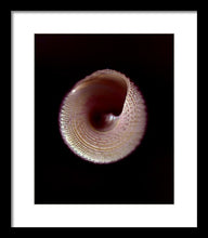 Load image into Gallery viewer, Sea Fragment X - Framed Print by Ryan Hopkins