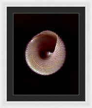 Load image into Gallery viewer, Sea Fragment X - Framed Print by Ryan Hopkins