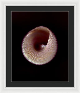 Sea Fragment X - Framed Print by Ryan Hopkins